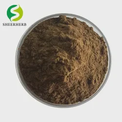 Factory Supply Shilajit Extract Fulvic Acid 50% Shilajit Extract Capsules