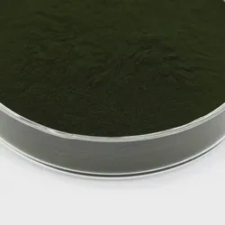 High Quality Nutrition Food Spirulina Protein Powder Algae Spirulina Powder