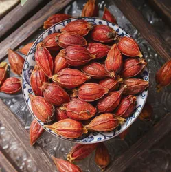 Natural Gardenia Jasminoides Traditional Chinese Medicine for Health Care and Wellness