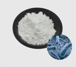 Premium Probiotic Immune System Booster Lactobacillus Reuteri