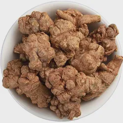Premium Notoginseng Traditional Chinese Medicine Sanqi for Health Care