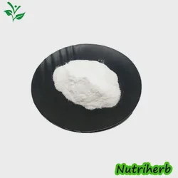 Nutrition Enhancers Top Grade Food Additive Akg CAS 328-50-7 99% Akg Alpha Ketoglutaric Acid Powder