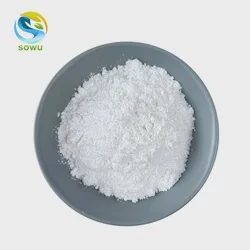 Sowu Supply Poly Glutamic PGA CAS 25513-46-6 Gamma Poly Glutamic Acid