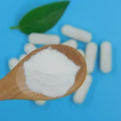 Probiotic Blend for Gut Health and Inflammation Relief