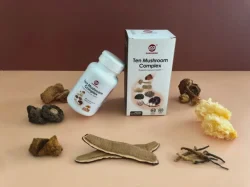 Mushroom Mixes Shiitake Maitake Reishi Ten Mushroom Complex Capsule