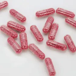 Memory Retention Support Digestive Enzyme Compatibility Multivitamin Health Food