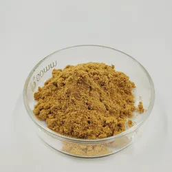 Plant Extract Gynostemma Pentaphyllum Extract Gynostemma Pentaphyllum Extract 98% Gypenosides