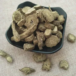 Niu Bang Gen High Qualith Hot Sale Purty Natural Herbal Medicinal Burdock Root for Health