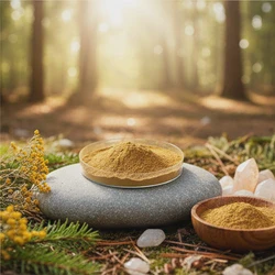 High Purity Organic Mushroom Reishi Extract with 10% Polysaccharide Supply