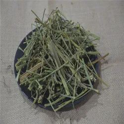 Ya Zui Hua 100% Natural Herbs Adhatoda Vasica Dried Malabar Nut Herba For Medicine