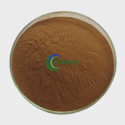 High Natural Paniculate Extract 98% Paniculate Extract Powder Paniculate Extract