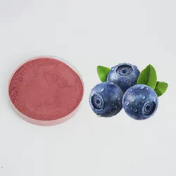 Pure Natural Blueberry Extract 25% Anthocyanidins Blueberry Extract for Supplement 10%-40%Proanthocyanidins