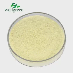 Alpha-Lipoic Acid Powder 98% CAS No. 1077-28-7 Alpha Lipoic Acid