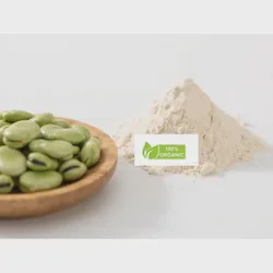 OEM Wholesale Bean Extract Beans Protein Powder for Sport Nutrition Supplement