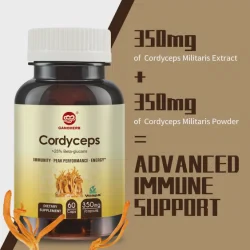 Organic Plant Extract Capsule Cordyceps Militaris Health Product Capsule