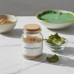 Natural 2% Nuciferine Lotus Leaf Powder - Runqian Quality Supply