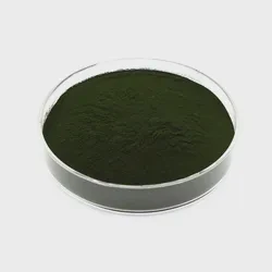 Spirulina Powder with 65% Protein for Hot Sale