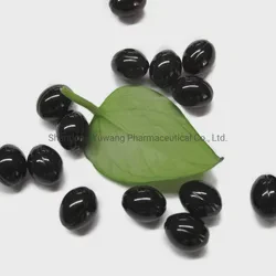 Health Supplement Ginkgo Biloba Softgel