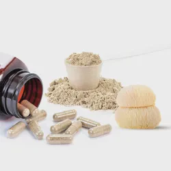 Whoesale Hericium Erinaceus Extract Lions Mane Capsule with Private Abe OEM