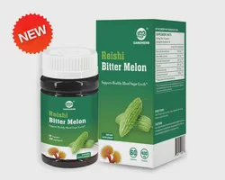 Support Diabetes Herbal Cure Capsule Lower Blood Sugar Capsule with Reishi Extract