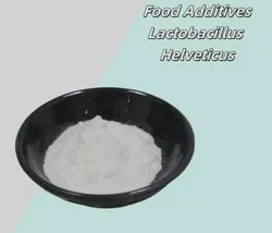 Immunity-Promoting Probiotics Lactobacillus Helveticus 100 Billion