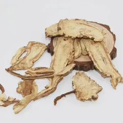 Dang Gui Premium Chinese Angelica Herbal Medicine for Health and Wellness