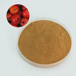 Quality Hawthorn Berry Extract Powder 20% Hawthorn Flavone Hawthorn Leaf Extract