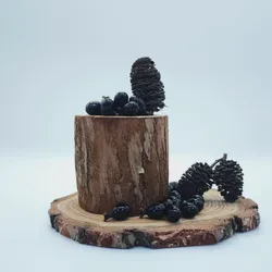 Trans-Resveratrol From Japanese Knotweed Softgels for Longevity & Antioxidant Support - ODM