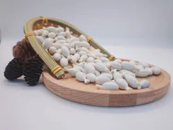 Energizing Coq10 Softgels for Optimal Health and Vitality