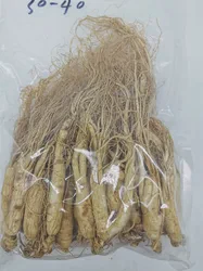 High Quality Ginseng Root Ginseng Root Extract Powder Immunity Enhancing