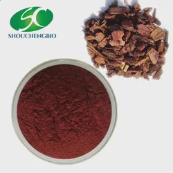 Wholesale Pine Bark Extract Powder 95% Proanthocyanidin Powder French Maritime