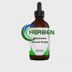 OEM Lions Mane Mushroom Extract Drops for Brain Boost