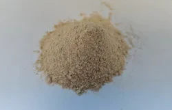 Energizing Apple Cider Vinegar Powder with Ginger and Lemon Extract