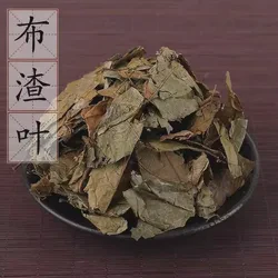 Buza Leaf Bu Zha Ye Dried Herb for Detoxification Swelling Reduction Joint Health