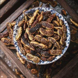 Premium Fried Sophora Japonica Fruit for Herbal Remedies