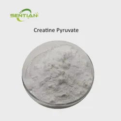 High Purity 99% Creatine Pyruvate Powder CAS 55965-97-4 Nutritional Supplement Creatine Pyruvate