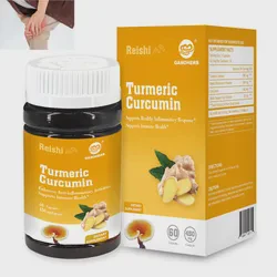 Hot Selling Dietary Supplement Turmeric Curcumin Capsules Premium Pain Relief & Joint Support OEM