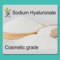High Quality Sodium Hyaluronate Effective Supplement Hyaluronic Acid for Health Food