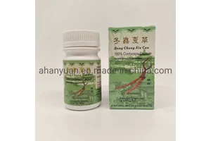 Private Label Natural Cordyceps Sinensis Capsules 75capsules