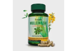 OEM/ODM Mullein Leaf Lung Capsules Supports Lung Health