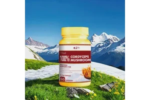 Organic Cordyceps Mushroom Extract for Energy and Wellness