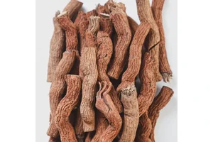 Premium Wholesale Black Pepper Root - Natural Spice Radix Piper Nigrum