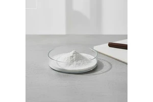 Probiotic Powder Enterococcus Faecium with 500 Billion Cfu/G