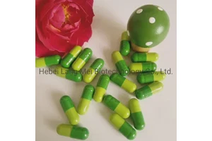 Private Label Herbal Supplement Quick Slimming Diet Pills in Wholesale Price