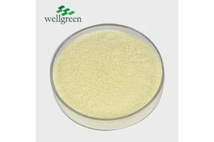 Alpha-Lipoic Acid Powder 98% CAS No. 1077-28-7 Alpha Lipoic Acid