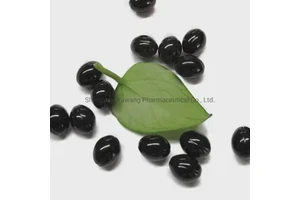 Health Supplement Ginkgo Biloba Softgel