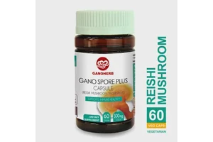 Dietary Supplement Ganoderma Spore Extract Powder Capsule