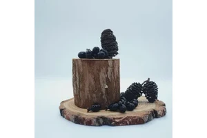 Trans-Resveratrol From Japanese Knotweed Softgels for Longevity & Antioxidant Support - ODM