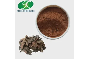 Factory Supply Plant Extracts 95% Proanthocyanidins Pine Bark Extract Powder