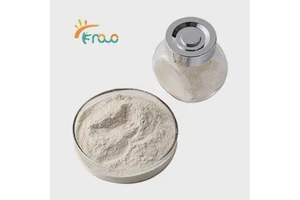 Natural Papaya Extract Papain Enzyme Powder CAS 9001-73-4